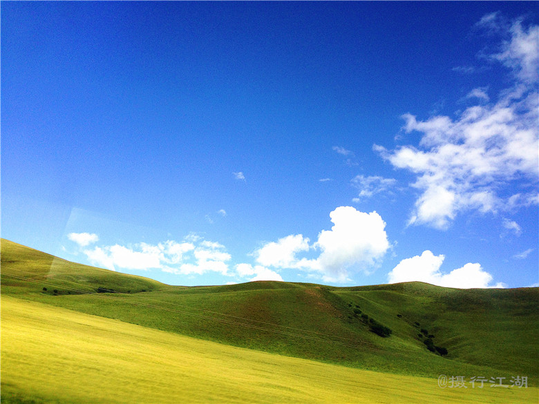 我终于知道，奶茶到底有多香