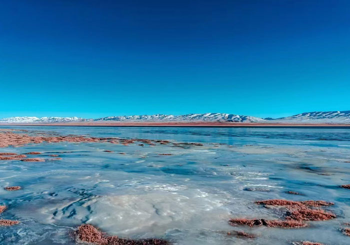 神奇美丽的阿拉克湖：高原湿地生态的璀璨明珠