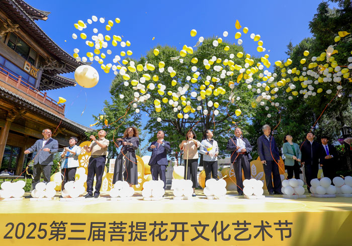 朝阳区投促中心助推“BBD第三届菩提花开文化艺术节”开幕