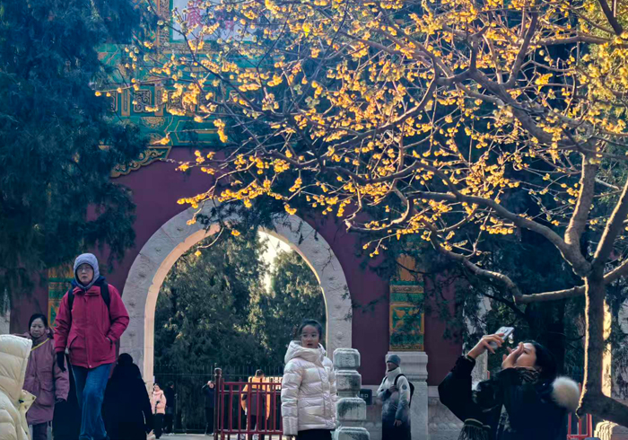 44.1万人次，北京市属公园迎来新年首个小高峰 
