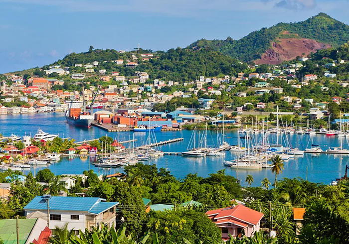 加勒比漫游记：从野性丛林到奢华海岸的感官觉醒