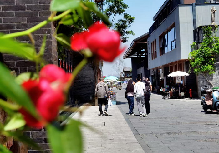 中国旅游协会秘书长葛磊：周口旅游服务优化必须从思想和体制上双