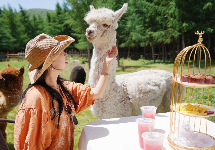 三天两晚 承德坝上夏日避暑之旅：草原的呼唤与诗意的邂逅