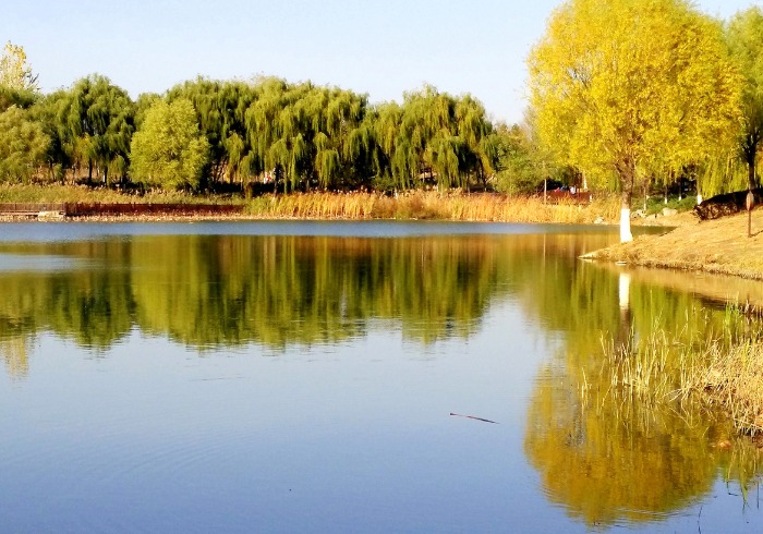 寻秋赏景，可以去这几个地方