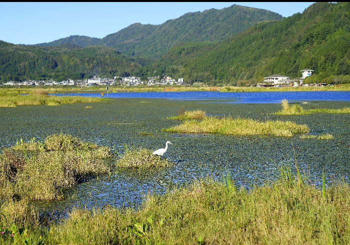 腾冲北海湿地，火山馈赠的浮毯秘境