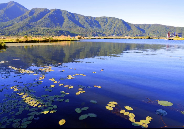 滇西行，暖冬里的边境风情与家庭慢时光