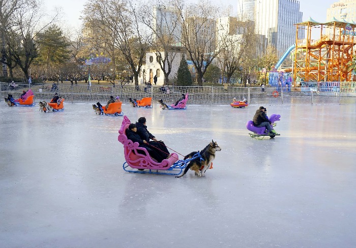 团结湖公园，江南雅韵邂逅冬日冰雪狂欢